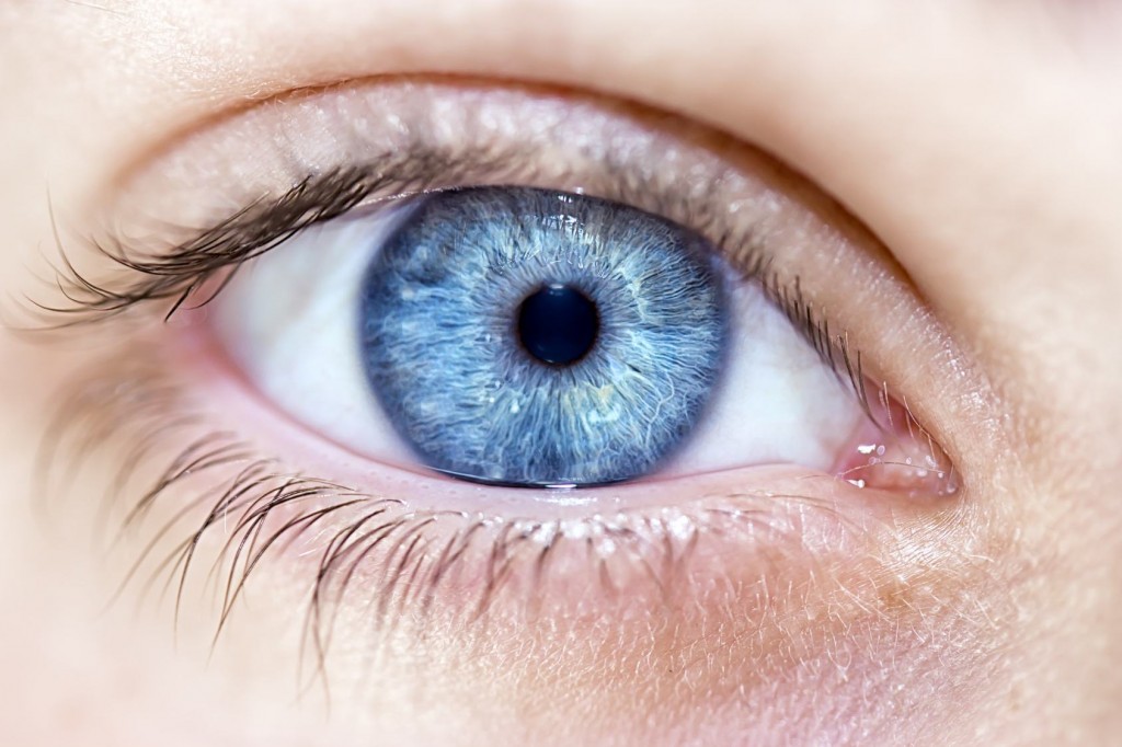 Blue-eyed male with blue hair - wide 9